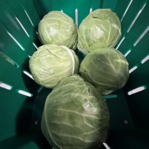 Green Cabbage (Case)