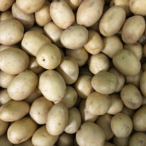 Yellow Potato (Small Size)