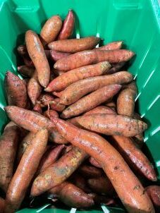 Fingerling Sweet Potatoes 30lb