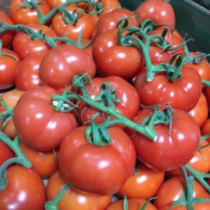Tomato on Vine (11 lb Case)