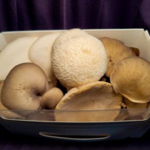 Premium Mushroom Trio - 250g