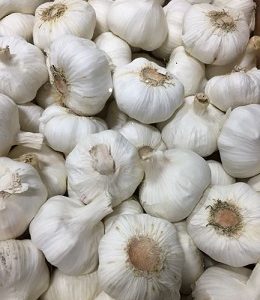 Organic White Garlic