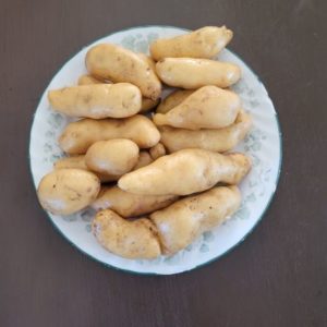 Yellow Fingerling