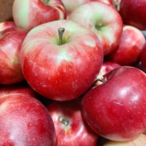 Organic Akane Apples