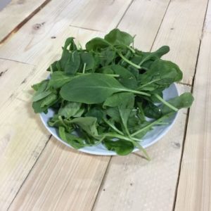 Baby Arugula - 4lb Case