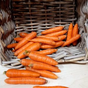 Baby Carrots (15 lb)