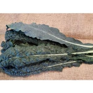 Dinosaur Black Kale-1/2 lb bag