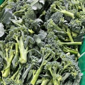 Fresh Broccolini (15lb Case)