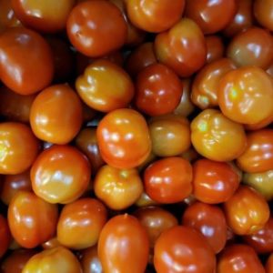 Roma Tomatoes (25lb Case)