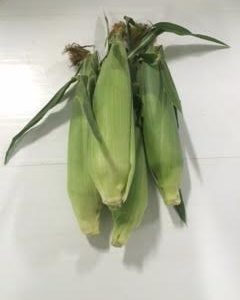 Sweet Taber Corn - 4 Dozen Case