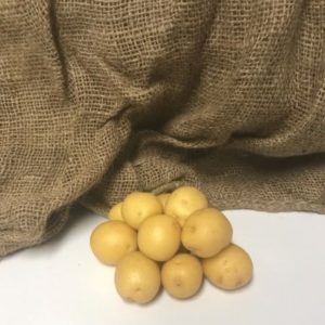 Yellow Creamers - 5lb Bag(s)
