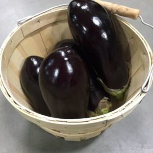 Egg Plant - 6ct Case