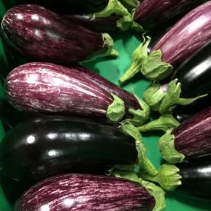Organic Egg Plant
