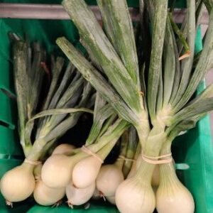 Yellow Onions (20lb Case)