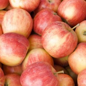 Organic Fuji Apples