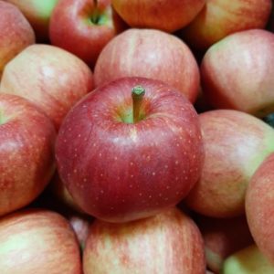 Blushlane Gala Apples