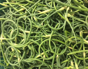 Garlic Scapes (5lb Case)