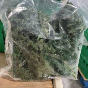 Fresh Green kale (1/2 lb Bag)