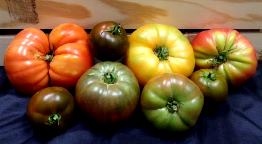 KG - Organic Heirloom Tomato