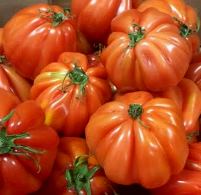 Red Heirloom Tomato
