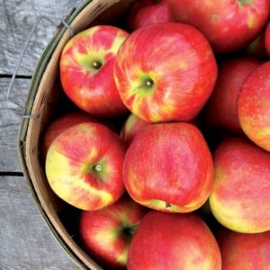 Organic Honeycrisp Apples