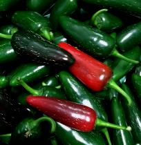 Organic Jalapeno Peppers