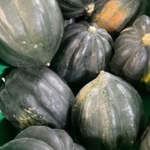 Kabocha Squash -20lb Case