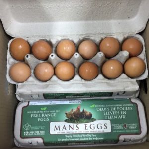 Large Eggs (Cartons)