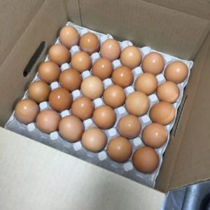 Extra Large Eggs(15 dozen case)