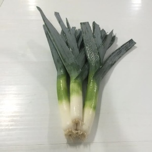 Organic Leek -10lb Case