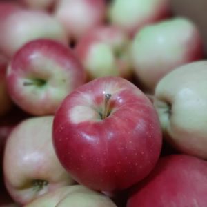 Organic Macintosh Apples - BC
