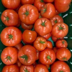 Organic Beefsteak - 10lb Case