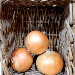 Organic Yellow Onions
