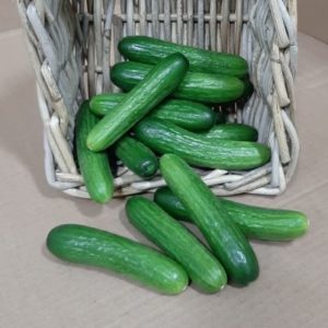 Mini Cucumbers (20lb Case)