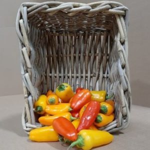 Mini Mixed Pepper - AB