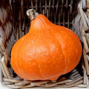 Organic Red Kuri Squash