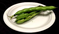 Fava Beans (10lb Case)