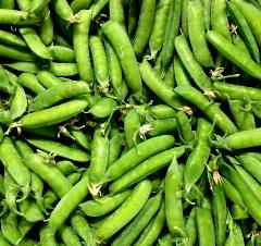 KG - Shelling Peas