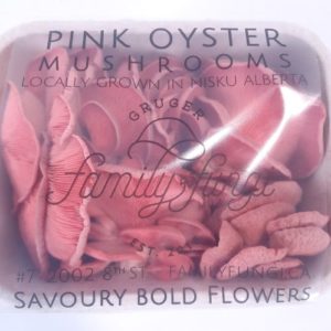 Pink Oyster (10x227g Cartons)