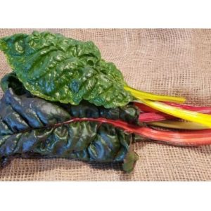 Rainbow Swiss Chard-1/2 lb bag