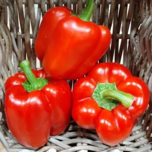 Premium Red Bell Peppers - AB