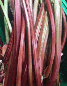 Uncle Johns Red Rhubarb - 10lb