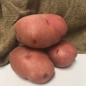 Red Potatoes - 50lb Case(s)