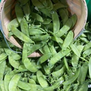 Snow Peas (10lb Case)