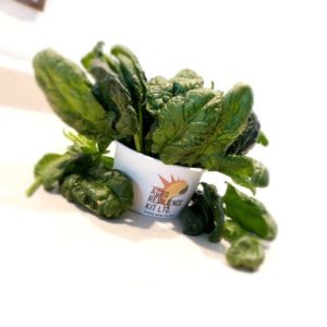 Fresh Spinach - 4 oz bag