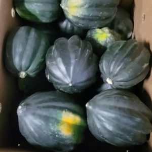 Acorn Squash - 20lb Case