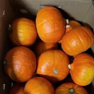 Red Kuri Squash