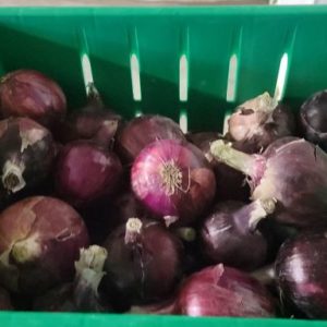 Red Onions (50lb Case)