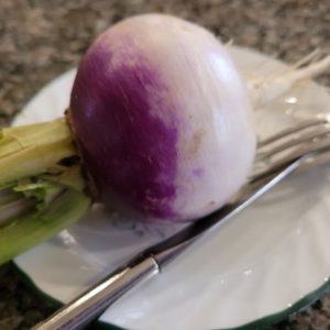 Purple Prince Turnips - Large