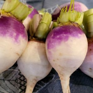 Purple Prince Turnips (10lb)